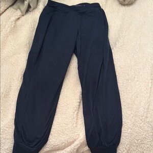 Stylish Navy Jogger Pants